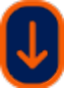 Scroll Icon