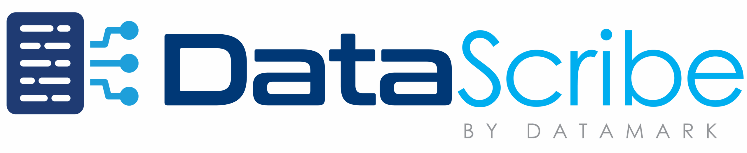 DataScribe by Datamake