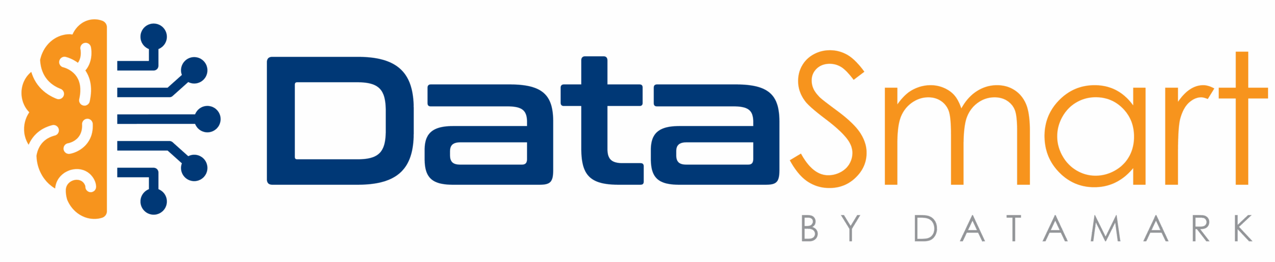 DataSmart by Datamake